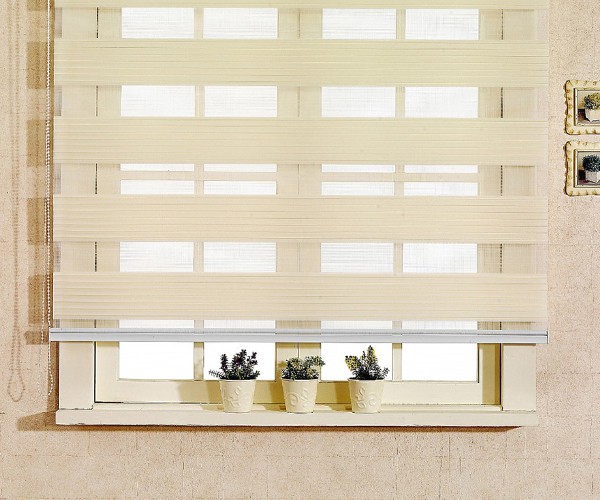 Zebra Roller Blinds-3